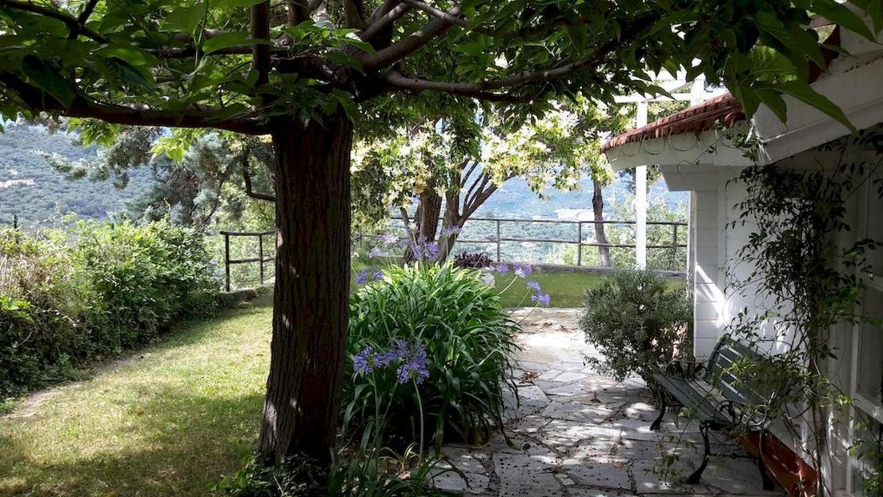 Deliziosa Casetta Con Dehor E Giardino Immersa Nel Verde Ligure Imperia Extérieur photo