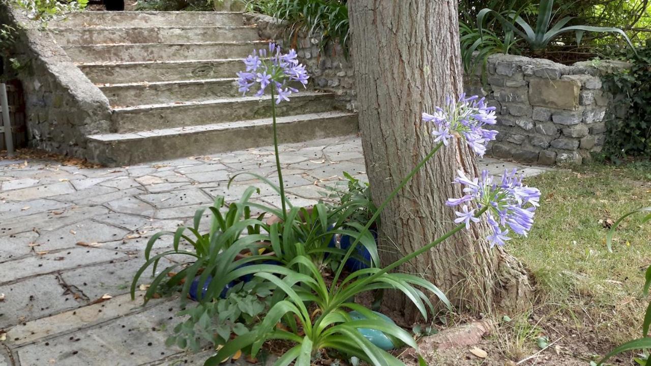 Deliziosa Casetta Con Dehor E Giardino Immersa Nel Verde Ligure Imperia Extérieur photo